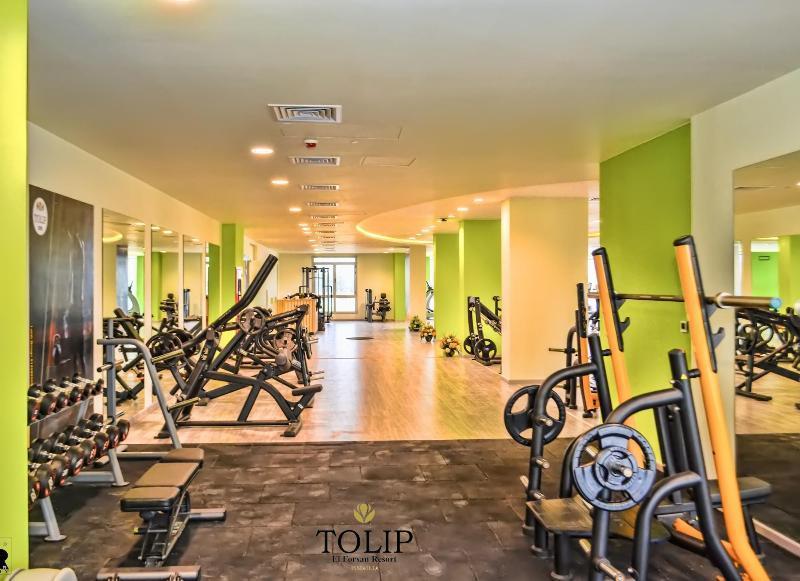 Tolip El Forsan Hotel Ismailía Exterior foto The gym at Tulip Inn